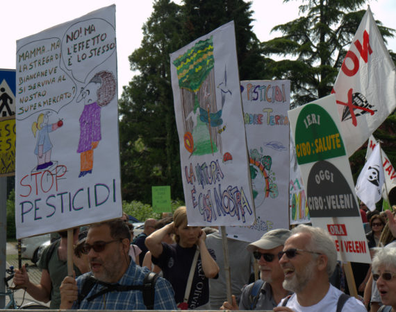 referendum Conegliano