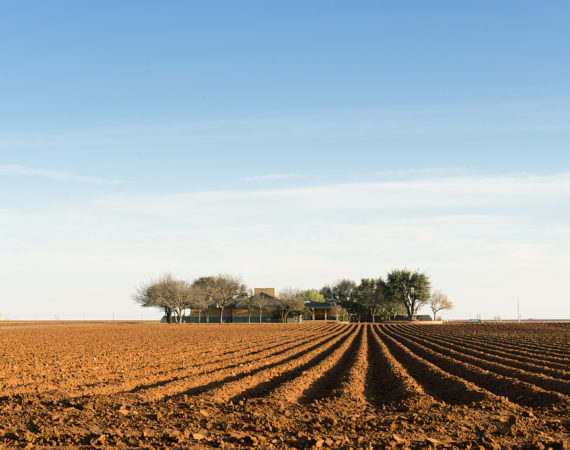 suoli agricoli