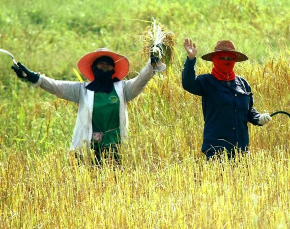 lavoratori esposti ai pesticidi