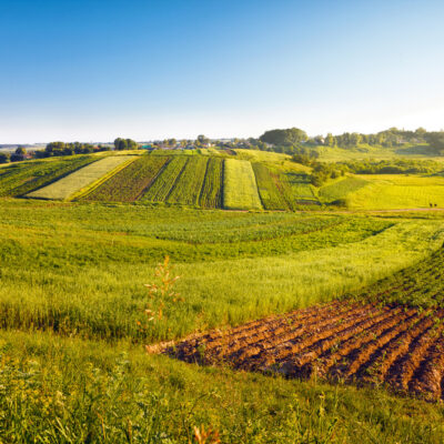 agricoltura bio