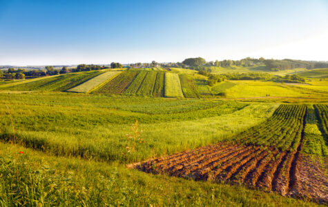 agricoltura bio