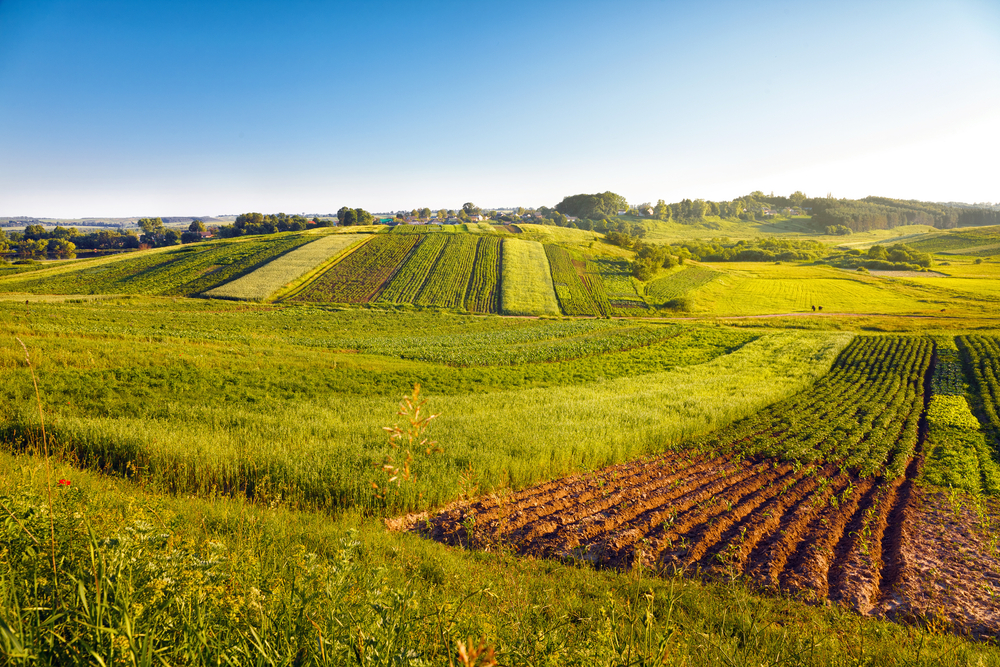 agricoltura bio