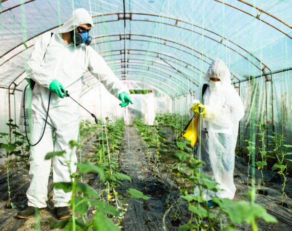 Agricoltori e fertilizzanti