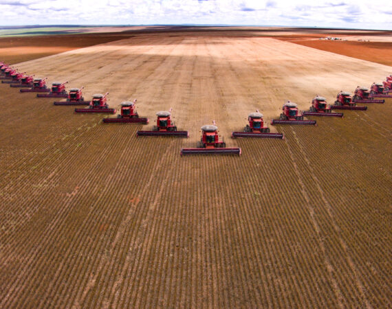 agricoltura intensiva