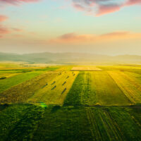Agroecologia