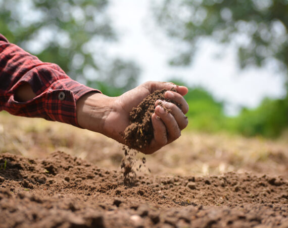 terreni agricoli suolo