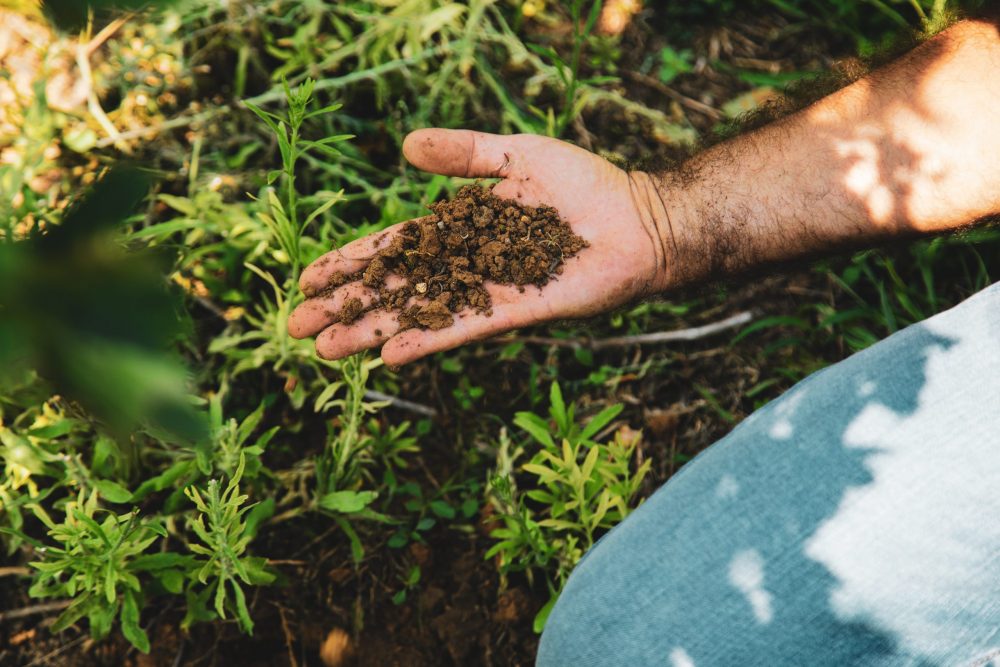 Suolo e Biodiversità