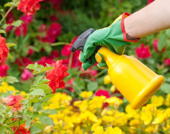 Pesticidi nelle città