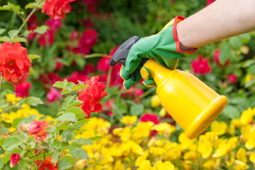 Pesticidi nelle città