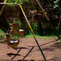 Pesticidi nei parcogiochi per bambini