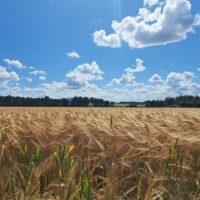 katherine-carlyon-h5eg599ydxo-unsplash